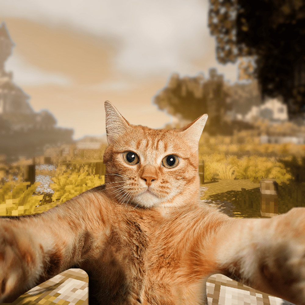 CATSMINE
