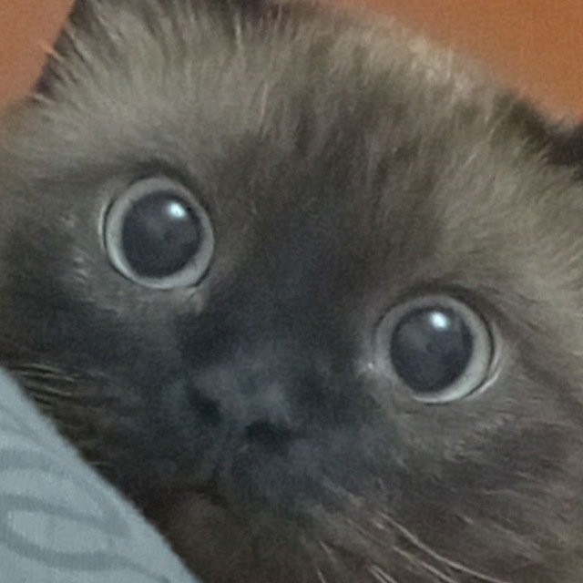 erWORLD