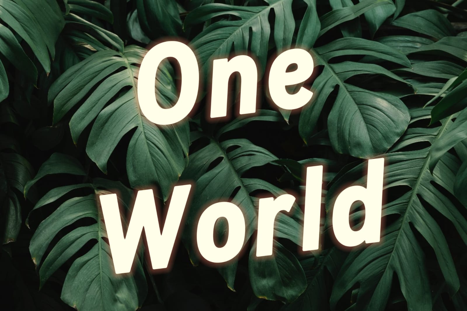Oneworld