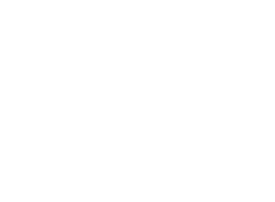 Avrorix