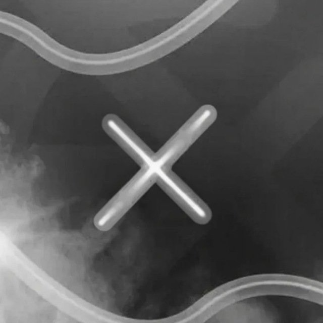 DarkX