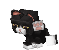 GigaCube
