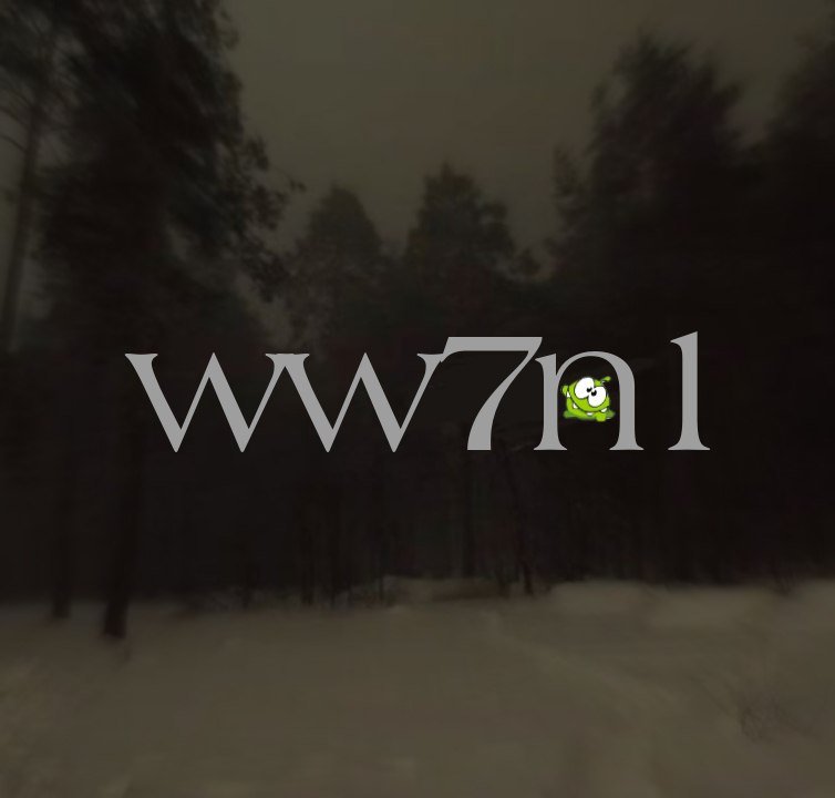 wizi1x