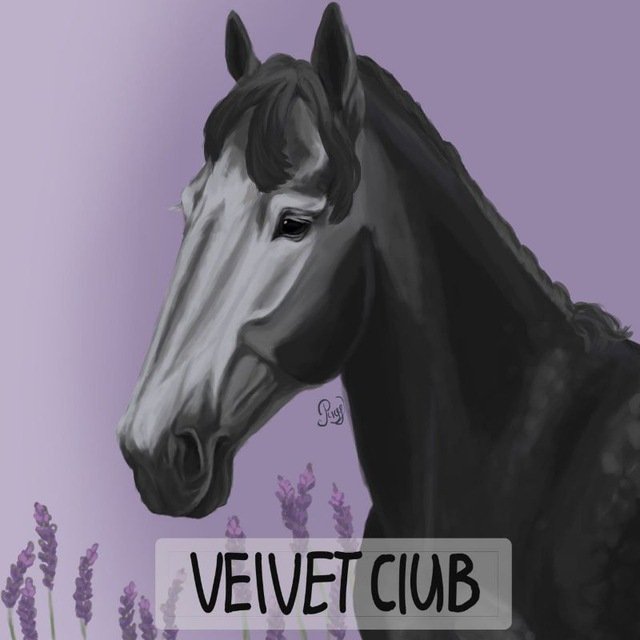 VelvetCLUB