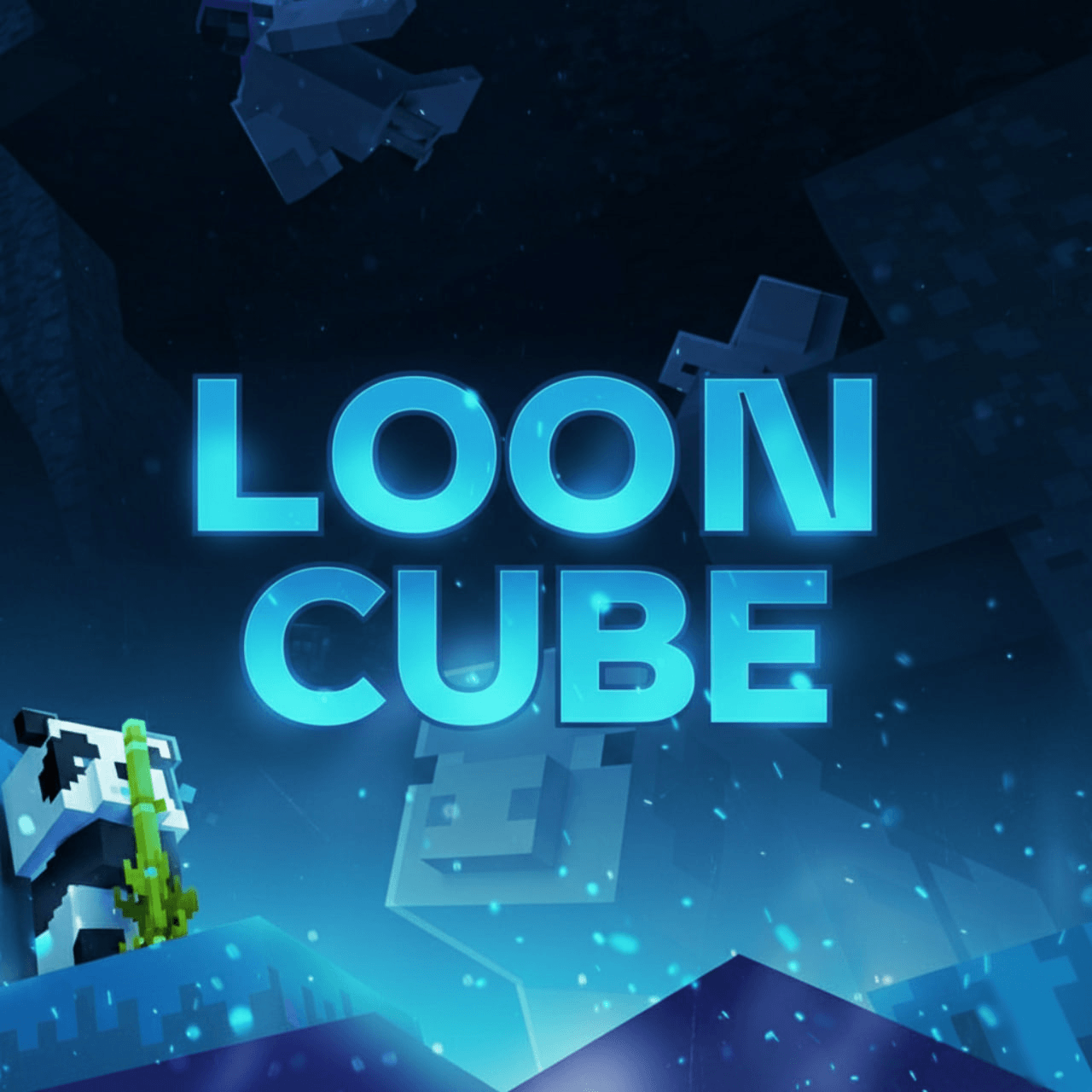 LoonCube