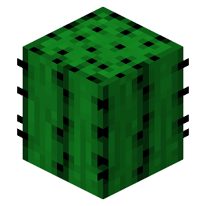 Kaktus-server