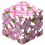 Solace Project