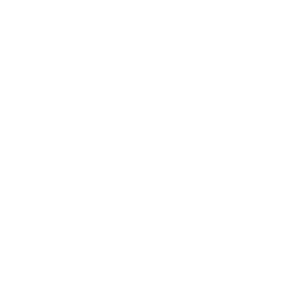 VertexSMP